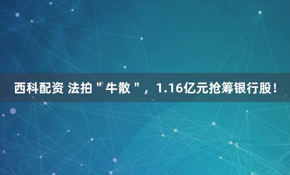 西科配资 法拍＂牛散＂，1.16亿元抢筹银行股！