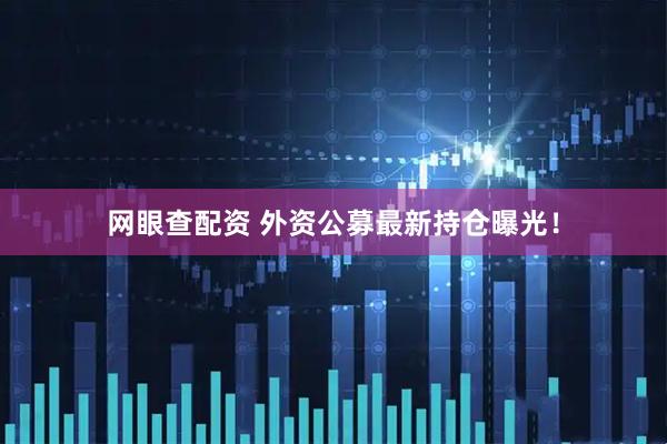 网眼查配资 外资公募最新持仓曝光!